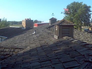 bats enter through decorative roof tops