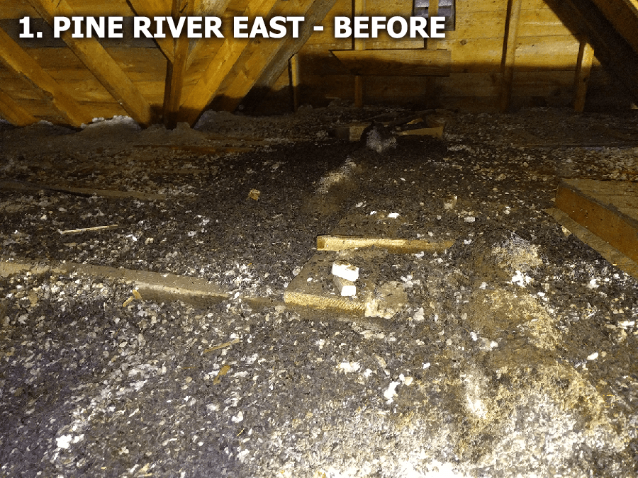pine river east before