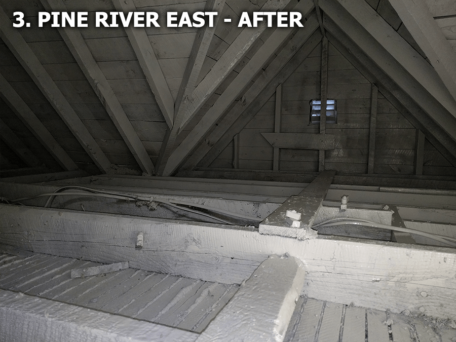 pine river east after
