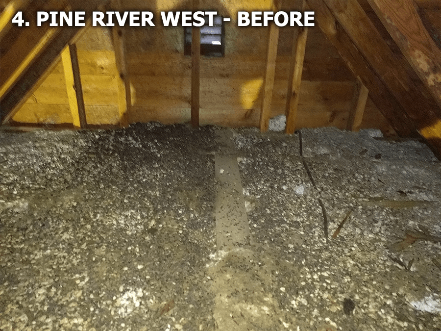 pine river west before