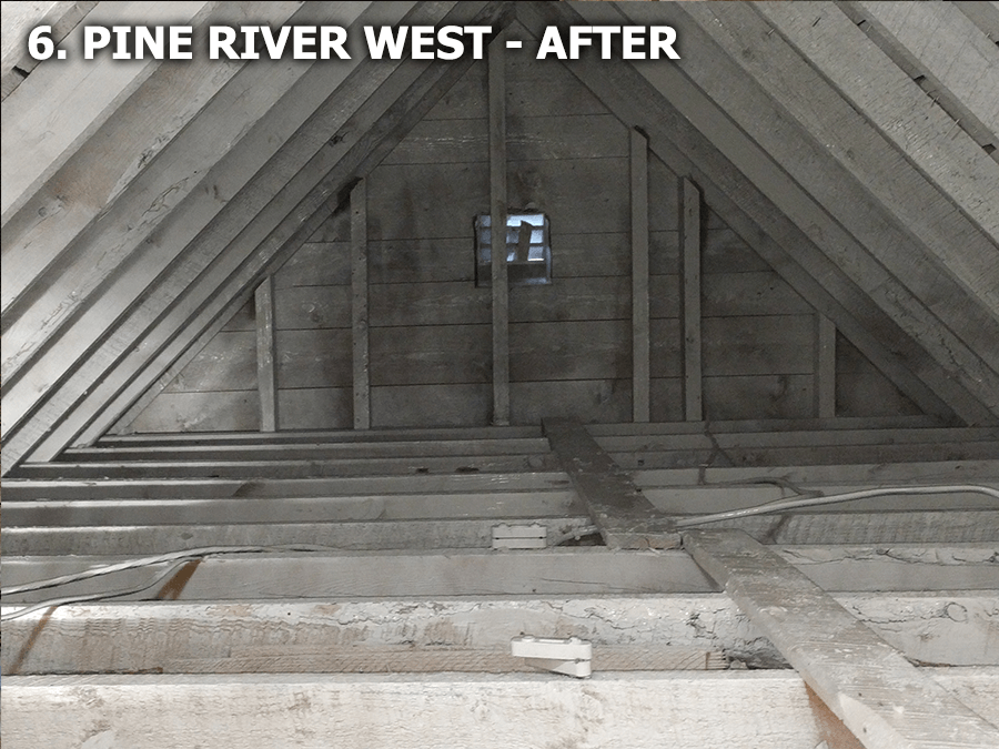 pine river west after